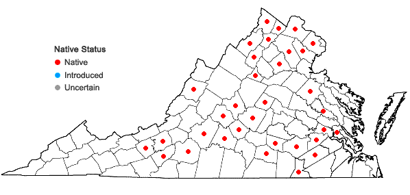 Locations ofPolygala ambigua Nutt. in Virginia