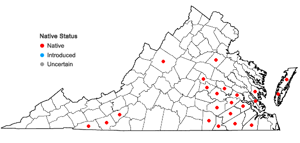Locations ofPolygala cruciata L. in Virginia