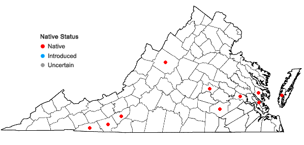 Locations ofPolygala cruciata L. var. aquilonia Fern. & Schubert in Virginia