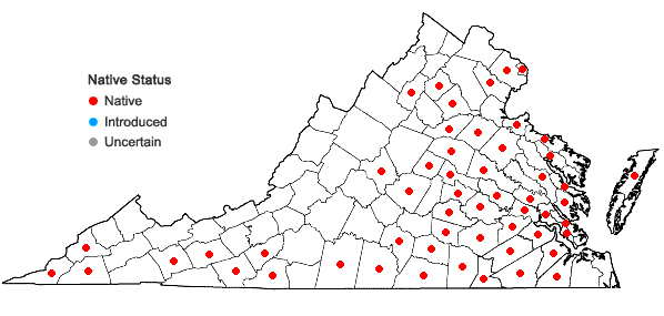 Locations ofPolygala curtissii Gray in Virginia