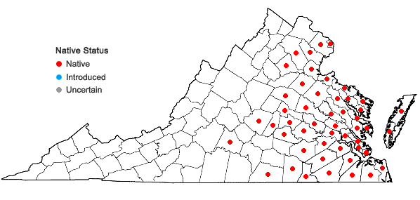 Locations ofPolygala mariana P. Mill. in Virginia
