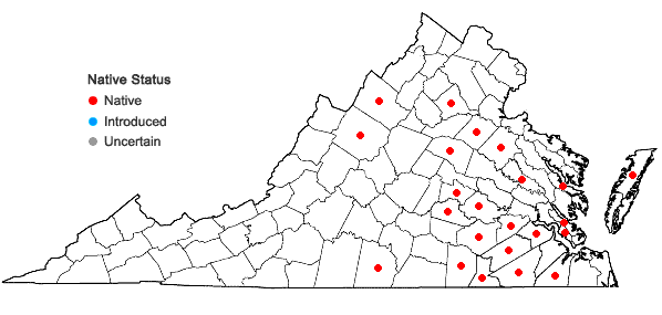 Locations ofPolygala nuttallii Torr. & Gray in Virginia