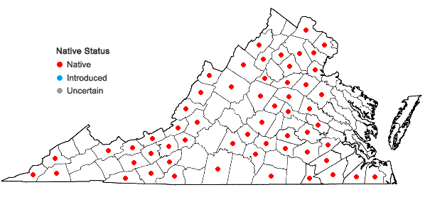 Locations ofPolygala sanguinea L. in Virginia