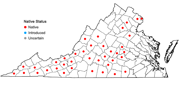 Locations ofPolygala senega L. in Virginia