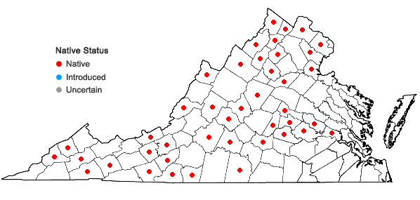 Locations ofPolygonatum biflorum (Walt.) Ell. var. commutatum (J.A. & J.H. Schultes) Morong in Virginia