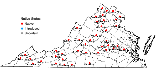 Locations ofPolygonatum biflorum (Walt.) Ell. var. commutatum (J.A. & J.H. Schultes) Morong in Virginia