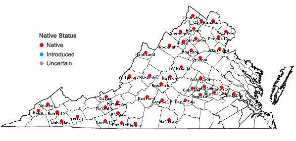 Locations ofPolygonatum biflorum (Walt.) Ell. var. commutatum (J.A. & J.H. Schultes) Morong in Virginia