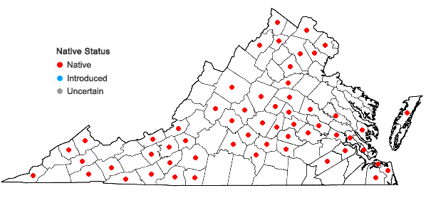Locations ofPolygonatum biflorum (Walt.) Ell. var. biflorum in Virginia