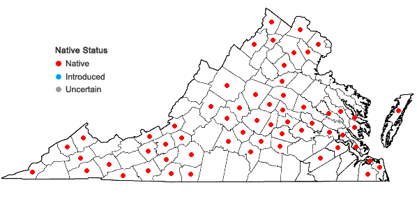 Locations ofPolygonatum biflorum (Walt.) Ell. var. biflorum in Virginia