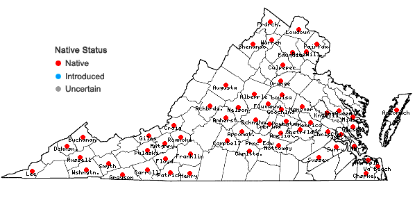 Locations ofPolygonatum biflorum (Walt.) Ell. var. biflorum in Virginia