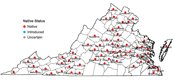 Locations ofPolygonatum biflorum (Walt.) Ell. var. biflorum in Virginia