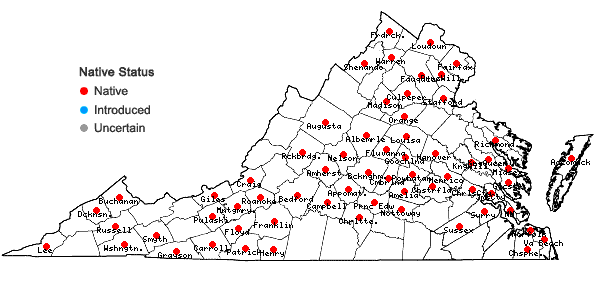 Locations ofPolygonatum biflorum (Walt.) Ell. var. biflorum in Virginia