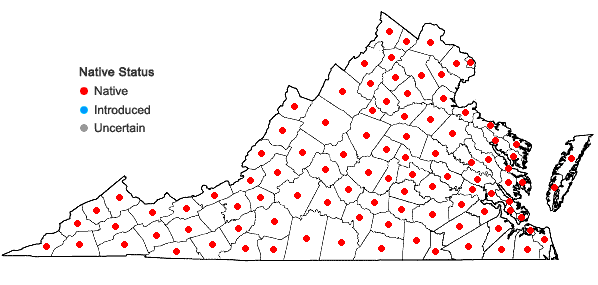 Locations ofPolygonatum biflorum (Walt.) Ell. in Virginia