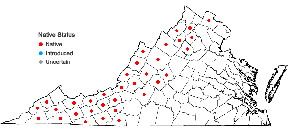 Locations ofPolygonatum pubescens (Willd.) Pursh in Virginia