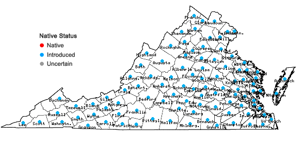 Locations ofPolygonum aviculare L. in Virginia