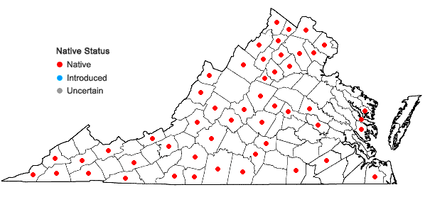 Locations ofPolygonum erectum L. in Virginia