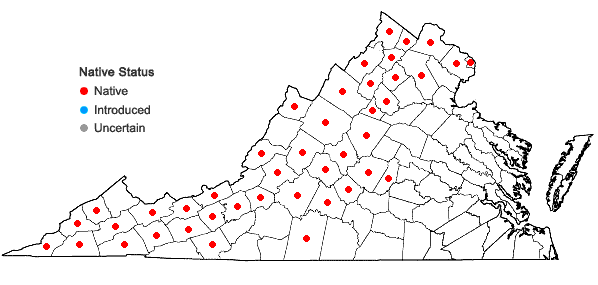 Locations ofPolymnia canadensis L. in Virginia