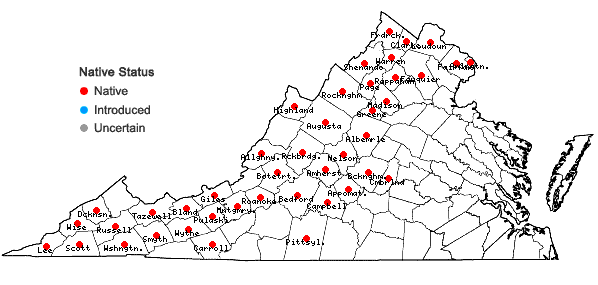 Locations ofPolymnia canadensis L. in Virginia