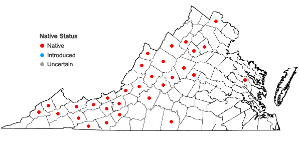 Locations ofPolypodium appalachianum Haufler & Windham in Virginia