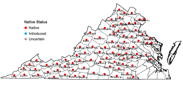 Locations ofPolypodium virginianum L. in Virginia