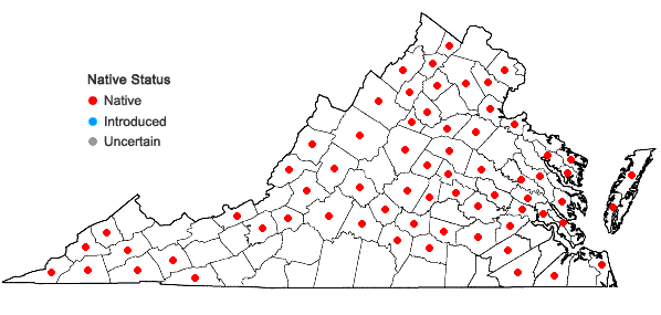 Locations ofPolytrichastrum ohioense (Renauld & Cardot) G.L. Sm. in Virginia