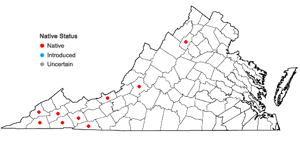 Locations ofPolytrichastrum pallidisetum (Funck) G. L. Sm. in Virginia