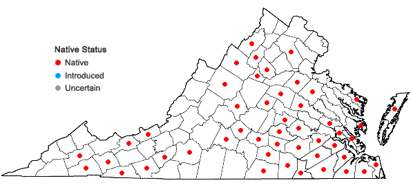 Locations ofPolytrichum commune Hedwig var. commune in Virginia