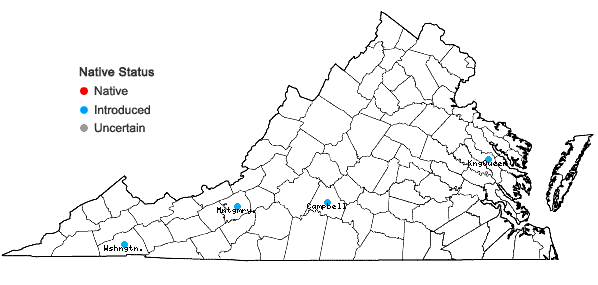 Locations ofPopulus balsamifera L. in Virginia