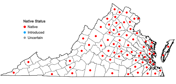 Locations ofPopulus deltoides Bartram ex Marshall ssp. deltoides in Virginia