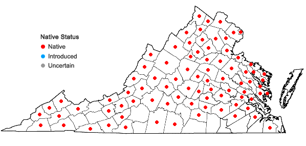 Locations ofPopulus grandidentata Michx. in Virginia