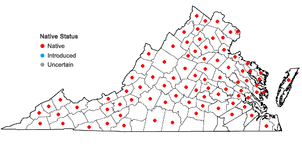 Locations ofPopulus grandidentata Michx. in Virginia