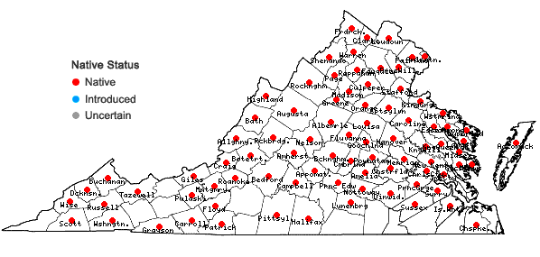 Locations ofPopulus grandidentata Michx. in Virginia