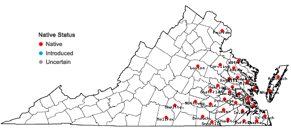 Locations ofPopulus heterophylla L. in Virginia