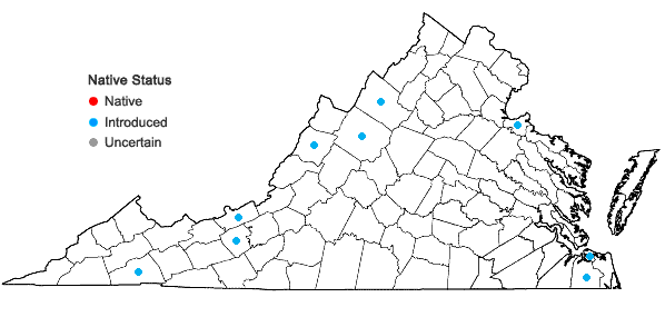 Locations ofPopulus nigra L. in Virginia