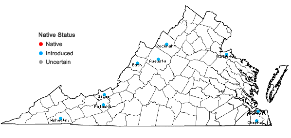 Locations ofPopulus nigra L. in Virginia