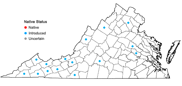 Locations ofPopulus ×jackii Sargent in Virginia