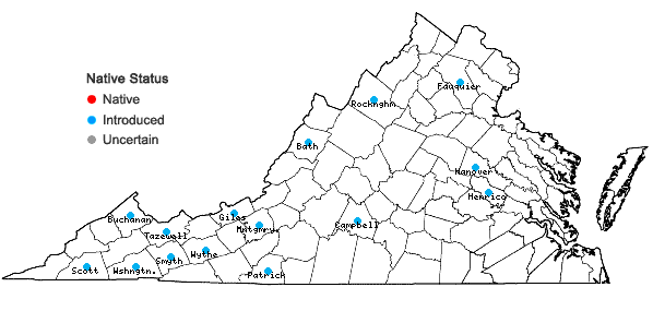 Locations ofPopulus ×jackii Sargent in Virginia