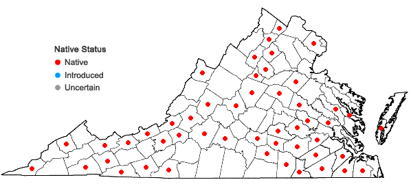 Locations ofPorella pinnata Linnaeus in Virginia