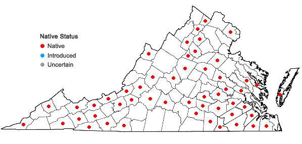 Locations ofPorella pinnata Linnaeus in Virginia