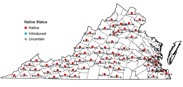 Locations ofPorella platyphylla (L.) Pfeiffer in Virginia