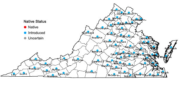 Locations ofPortulaca oleracea L. in Virginia
