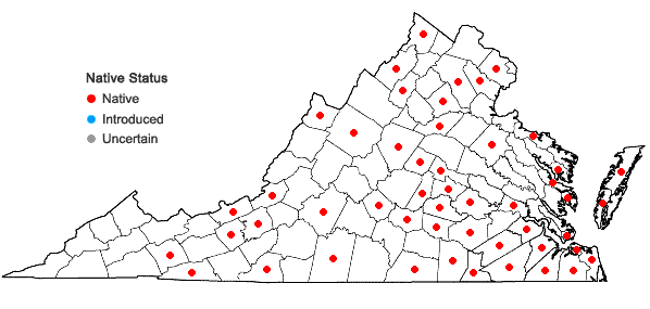 Locations ofPotamogeton diversifolius Raf. in Virginia
