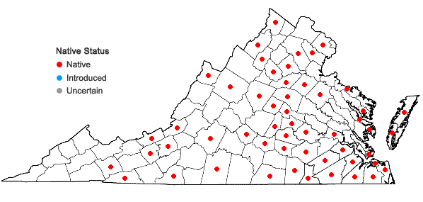 Locations ofPotamogeton diversifolius Raf. in Virginia