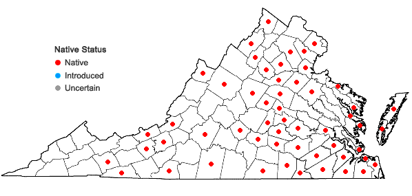Locations ofPotamogeton diversifolius Raf. in Virginia