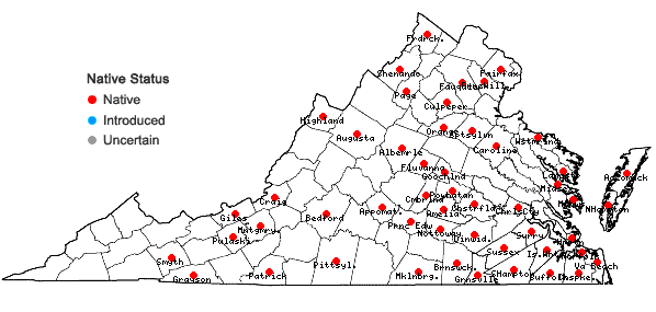 Locations ofPotamogeton diversifolius Raf. in Virginia