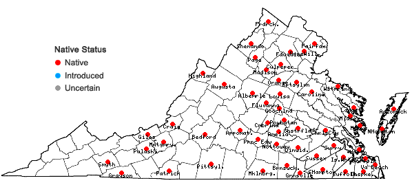 Locations ofPotamogeton diversifolius Raf. in Virginia