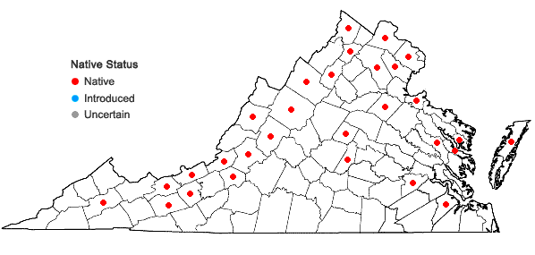 Locations ofPotamogeton foliosus Raf. var. foliosus in Virginia