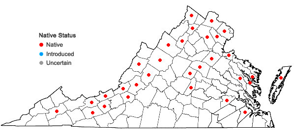 Locations ofPotamogeton foliosus Raf. var. foliosus in Virginia