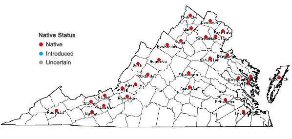 Locations ofPotamogeton foliosus Raf. var. foliosus in Virginia