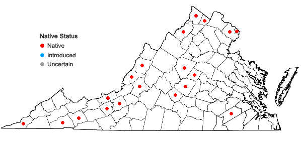 Locations ofPotamogeton illinoensis Morong in Virginia